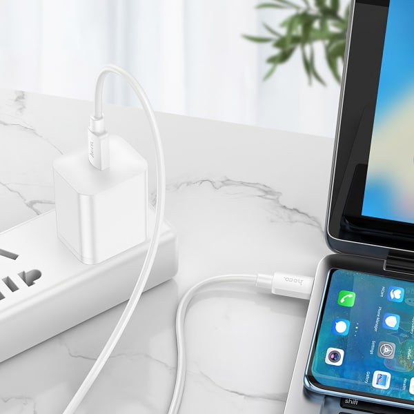 Καλώδιο USB-C σε USB-C Hoco X96, 100W, 5A, 1m, Λευκό - Image 3