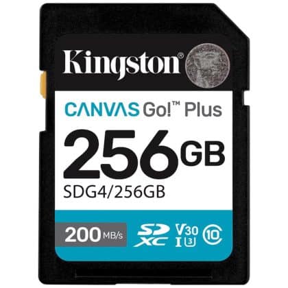 Kingston - Memory Card Canvas Go Plus (sdg4/256gb) - Sdxc, 256gb, 200mb/s, Class 10 Uhs-I U3, V30 - Black