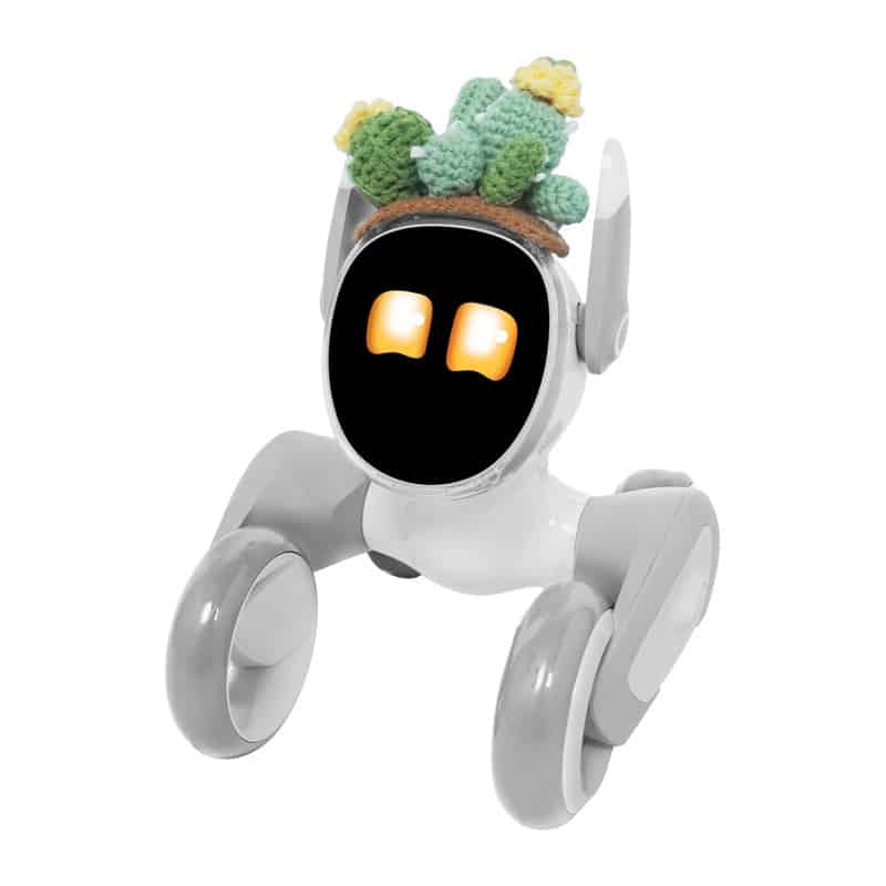 Πλεκτό κοστούμι για το Loona Premium Cactus - Image 2