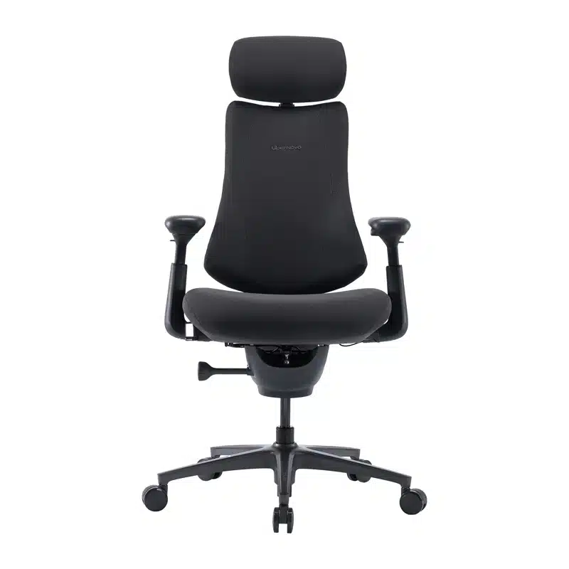 LiberNovo Omni Pro Εργονομική Καρέκλα 45 cm, Γραφίτης - Image 2