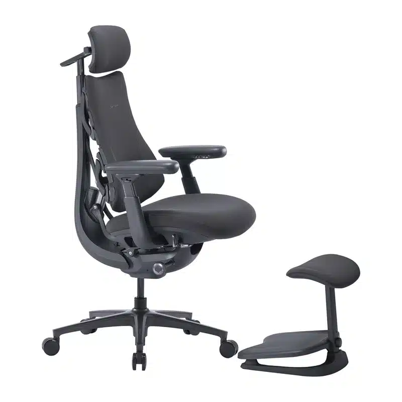 LiberNovo Omni Pro Εργονομική Καρέκλα 45 cm, Γραφίτης - Image 6