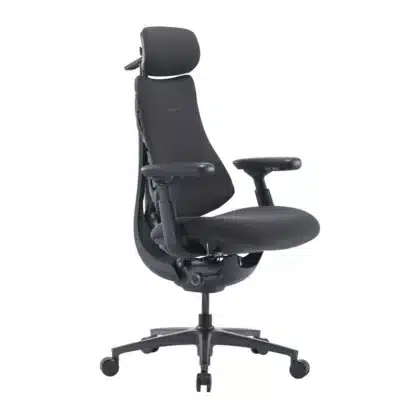 LiberNovo Omni Pro Εργονομική Καρέκλα Γραφείου, 48 cm, Γραφίτης
